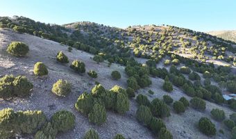 2006 Swenson Valley Rd, Bancroft, ID 83217