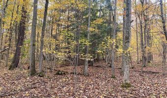 6197 Windfall Rd, Angelica, NY 14813