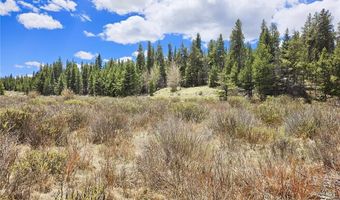 700 Looney Ln Lot 0, Alma, CO 80420