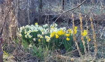 9230 And 9234 Mt Highway 35, Bigfork, MT 59911