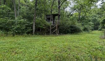 3702 Round House Rd, Aurora, MO 65605