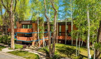 400 W Hopkins Ave 5, Aspen, CO 81611