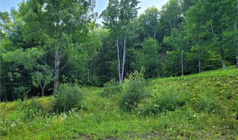 Lot # 19 Brush Hollow Road, Bovina, NY 13740