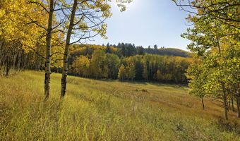 1833 W Buttermilk Rd, Aspen, CO 81611