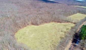 Lot 2 Doig Hollow Road, Andes, NY 13731