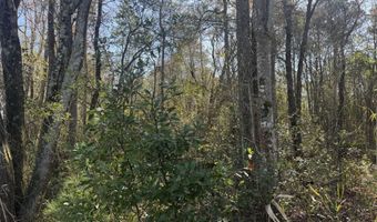 NW Little Prong Rd NW lot 4 And 5, Ash, NC 28420