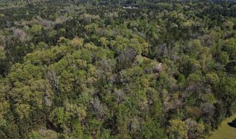 TBD Apple Blossom Drive, Arkadelphia, AR 71923
