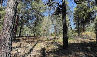 156 Lake View Cir, Bayfield, CO 81122
