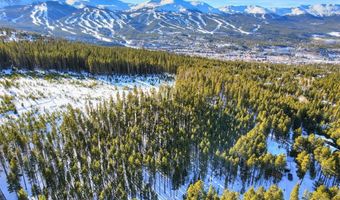 57 APEX Cir, Breckenridge, CO 80424