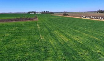 Lot 5 Davis Pond Rd, Atmore, AL 36502