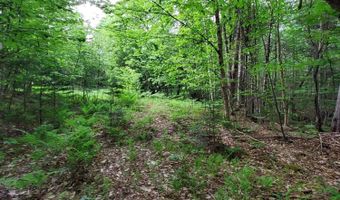 Map 14 lot 50, Andover, ME 04216
