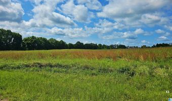 22880 OLD WEEKLY ROAD Lot 40 Acres, Bay Minette, AL 36507