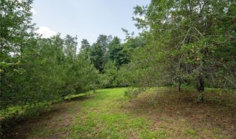 464 Poole Rd, Ball Ground, GA 30107