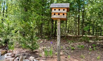 700 BATTLE MOUNTAIN Rd, Amissville, VA 20106