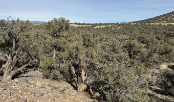 County Road 2550, Aztec, NM 87410
