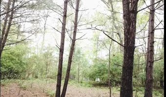 BRUSHY LANE, Arley, AL 35541