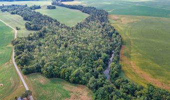 13 93 Acres Conn Rd, Adairville, KY 42206