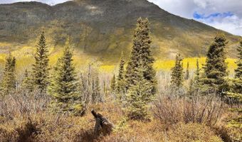 B005 S Packsaddle Road, Chickaloon, AK 99674