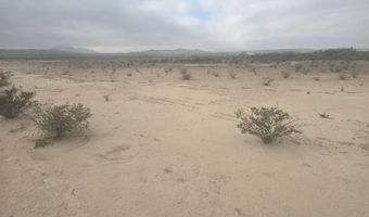 15957 S Bad Bunny Run, Alpine, TX 79830