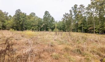 229 County Road 314, Alton, MO 65606