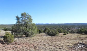 6 County Road 8052, Concho, AZ 85924