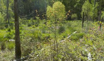 Steve Brown Road, Bean Station, TN 37708