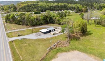 38178 US HWY 231, Ashville, AL 35953