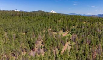 Lot-500 Forest Service Road 1030 Rd, Sisters, OR 97759
