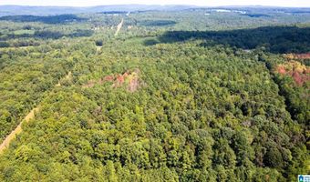 62 ACRES TONEY Dr 62 ACRES, Altoona, AL 35952