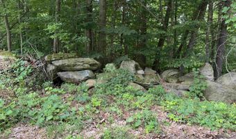 600 Birch Hill Rd, Brandon, VT 05733