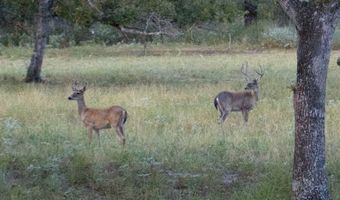 534 Whitetail Dr, Adkins, TX 78101