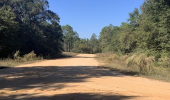 Larry Street, Alford, FL 32420
