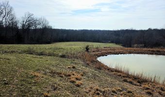 Rr 1 Box 6548, Ava, MO 65608
