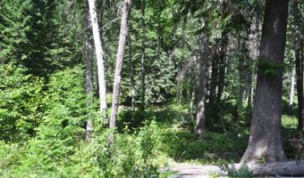 Nna 196 Acres Hwy 95, Bonners Ferry, ID 83805