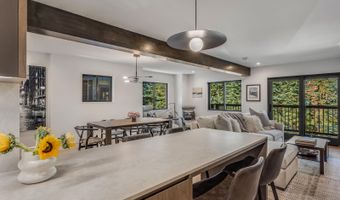 650 S Monarch St 7, Aspen, CO 81611