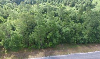 Lot 19 MEADOW LANE RD, Andalusia, AL 36421