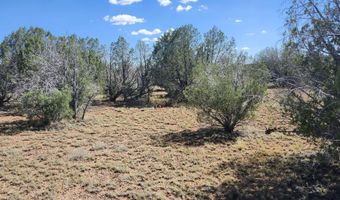 2901 N Cienega Dr A, Ash Fork, AZ 86320