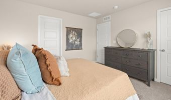 295 Gila Trl, Ault, CO 80610