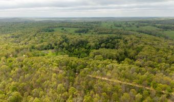 493 County Road 151, Alton, MO 65606