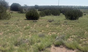 5064 Concho Dr 385, Concho, AZ 85924