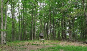 694 A Tunnel Ridge Rd, Argillite, KY 41121