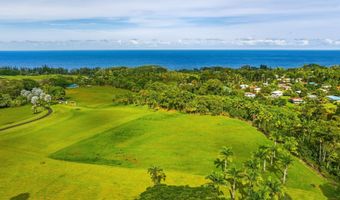 ILIOPUA RD, Honomu, HI 96728
