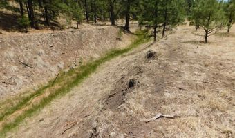 10 N2310, Alpine, AZ 85920