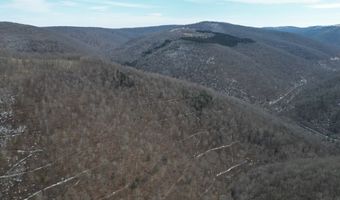 0 TBD Elleber Sods Rd, Bartow, WV 24920