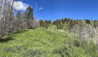 Tbd Nwne DEER HAVEN Road, Bondurant, WY 82922