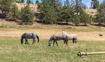35429 McCartie Ln, Bonanza, OR 97623