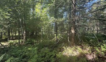 1416 Clif Reynolds Rd 3, Cambridge, VT 05444
