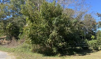 Jones Circle, Bishopville, SC 29010