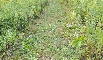 Shaver Hollow, Andes, NY 13731