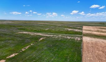 TBD County Road 162, Agate, CO 80101